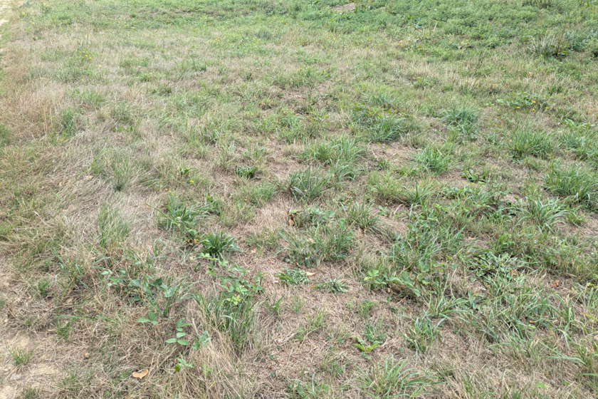 Terrain constructible 2608 m². Lanouée - Photo 9