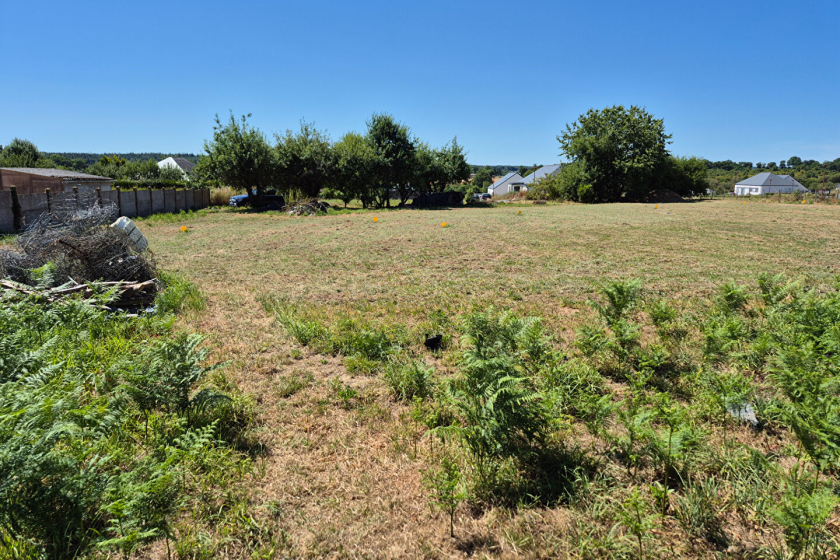 Terrain Mohon 2920 m2 - Photo 4