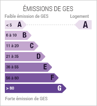 Emissions de gaz à effet de serre